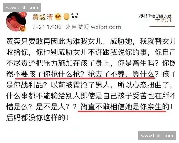 若风激烈回应争议言论 引发网友热议与反思 公开道歉与澄清真相 若风激烈回应争议言论 引发网友热议与反思 公开道歉与澄清真相